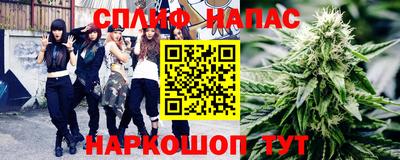 сатива Коммунар