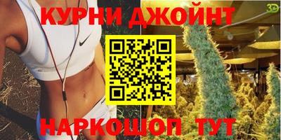 сатива Коммунар